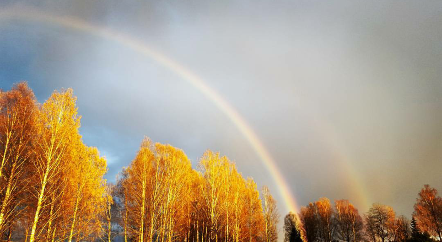 Russian nature in your feed - My, Nature, Valdai, Photo, Longpost