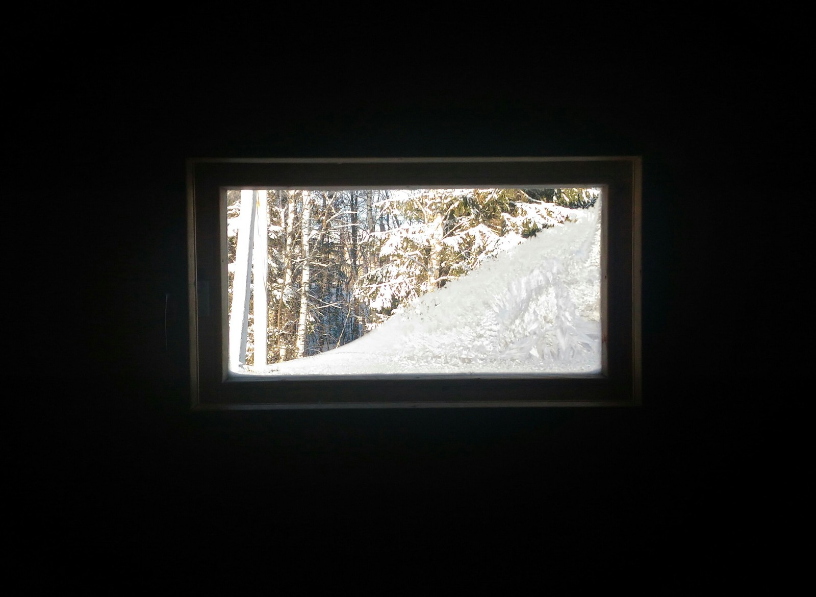 Frost picture. - My, Window, freezing, Forest