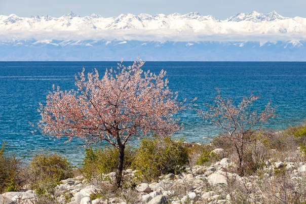 В горах Тянь-Шаня, Киргизия - Кыргызстан, Фото, Вода, Природа