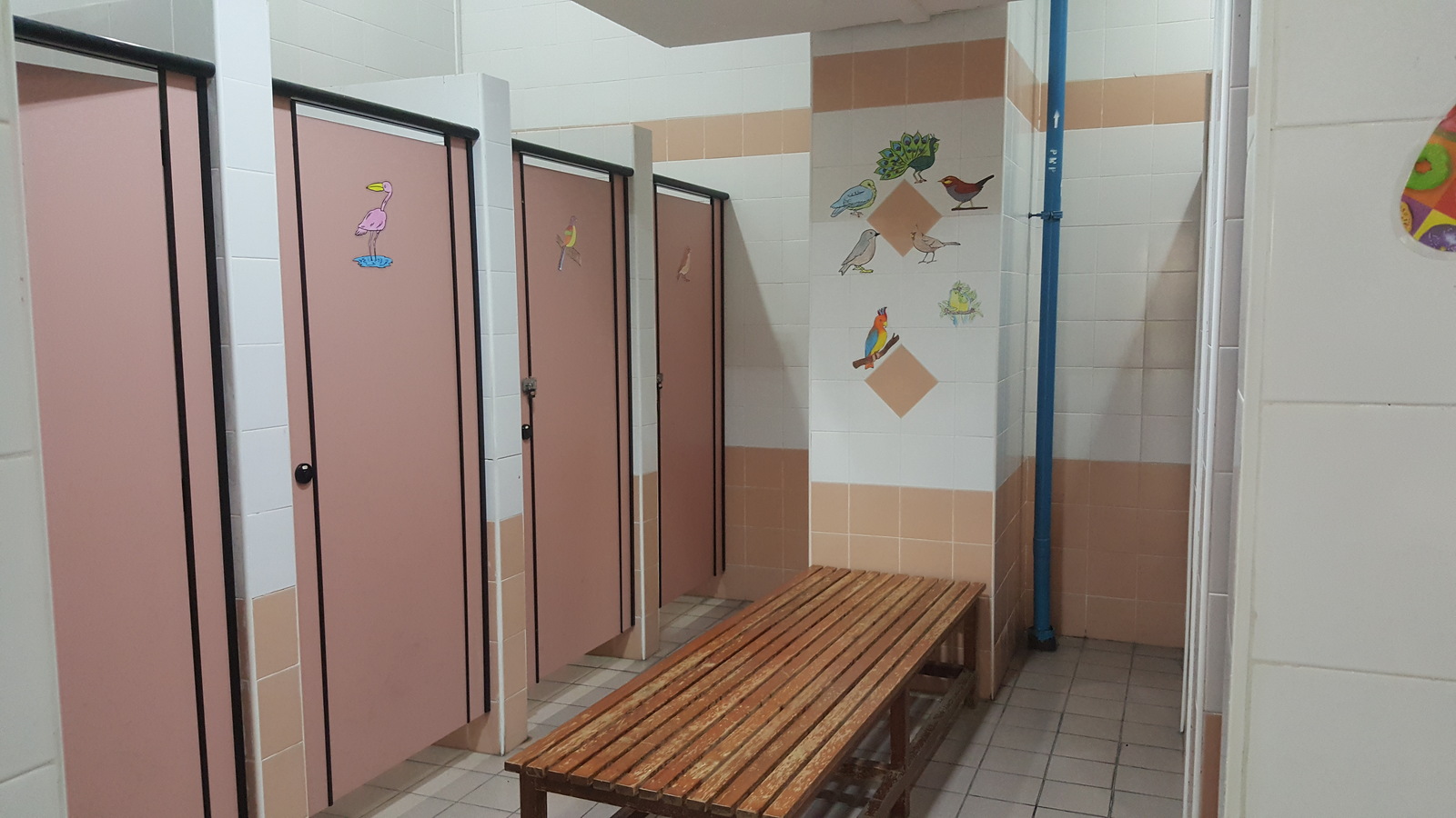 School toilets in Singapore - My, Singapore, Toilet, elementary School, Longpost