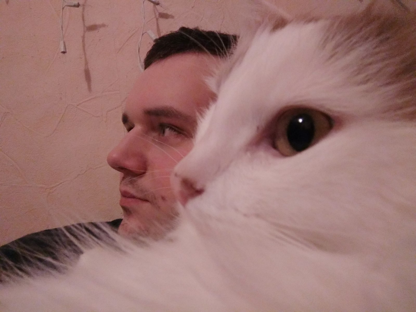 We just look into the distance with the cat - My, cat, My, Looking into the distance