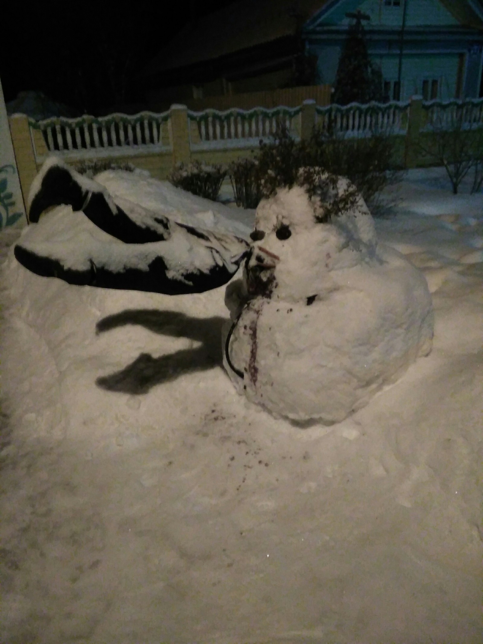 snowman - My, snowman, Night