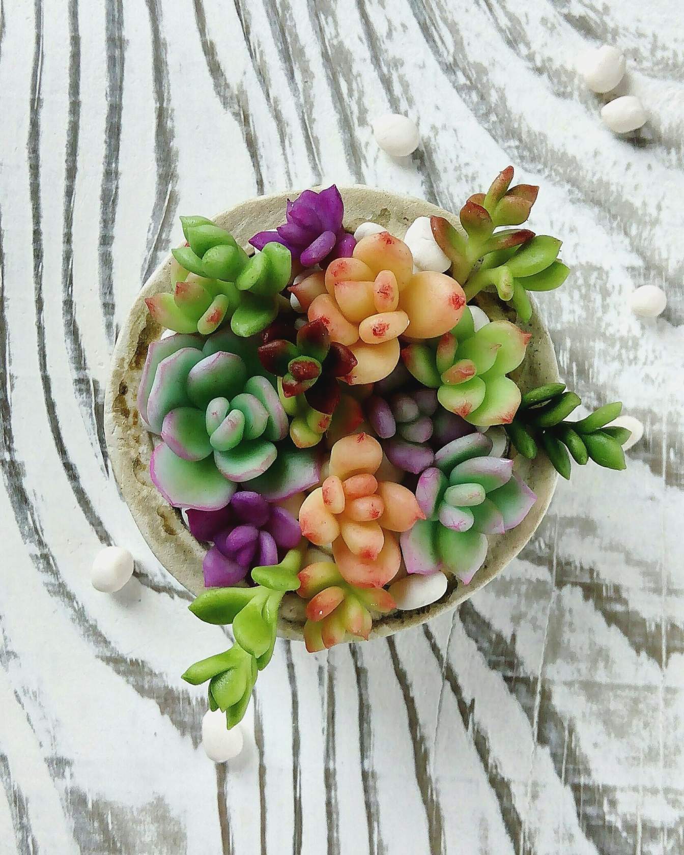 Succulents from polymer clay. - My, Polymer clay, Cold porcelain, Needlework, Creation, Handmade, Decoration, Flowers, Plants, Longpost