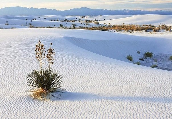 White sands of the Porcelain Desert in the USA - USA, Photo, Nature, Sand