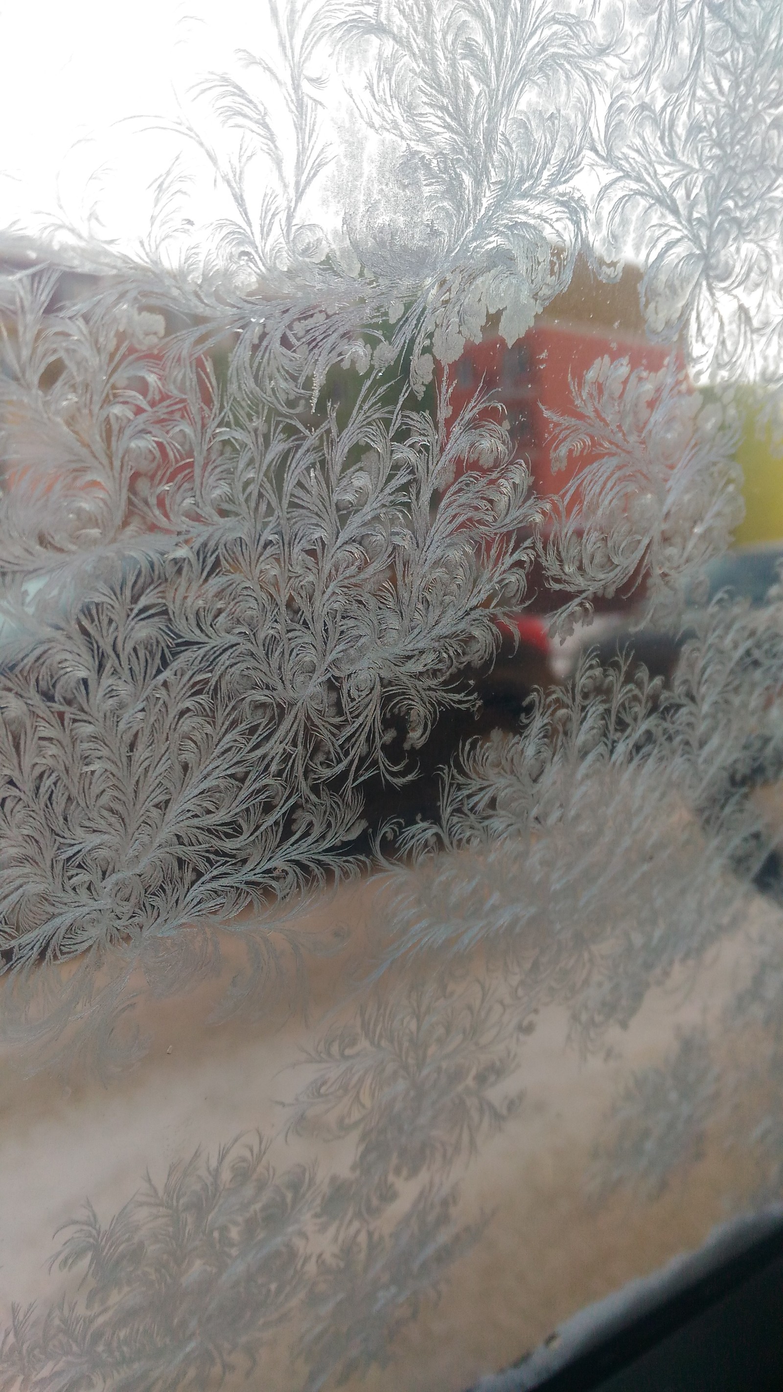 Frost draws - My, freezing, Painting on glass, Winter, beauty, Art, Incredible, Longpost