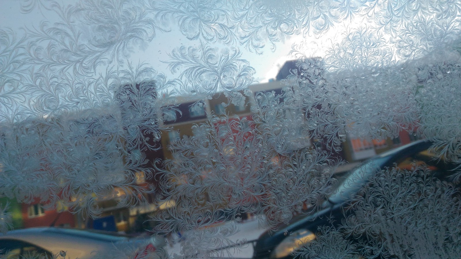 Frost draws - My, freezing, Painting on glass, Winter, beauty, Art, Incredible, Longpost