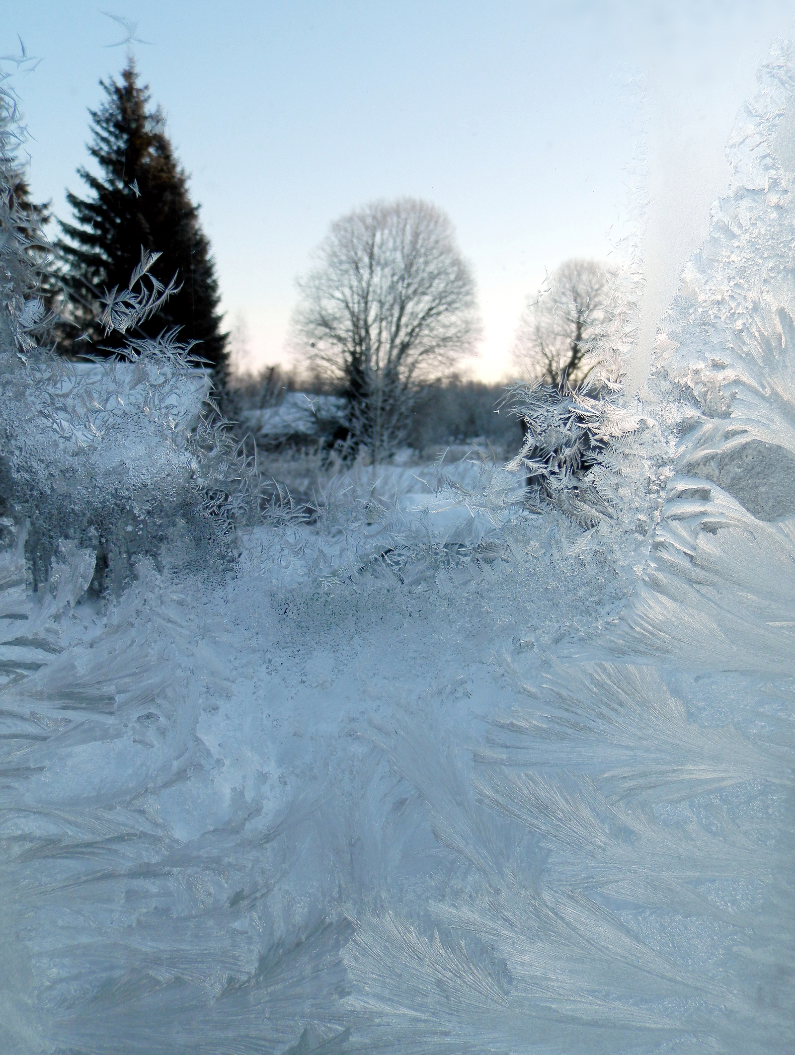 Patterns - My, Winter, Cold, Window, Patterns, Leningrad region