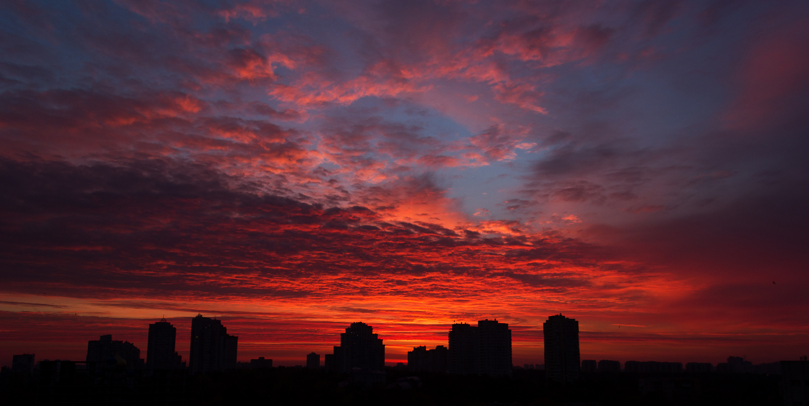 The morning does not begin with coffee :) - My, Kiev, The photo, dawn, Beautiful, Dog, Landscape, Canon EOS 550D, Sky