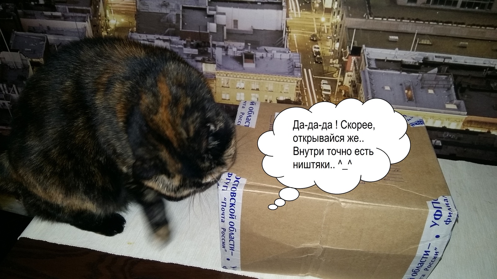 New Year's mood received from Rostov-on-Don! - My, New Year's gift exchange, Longpost, Gift exchange, Secret Santa, cat