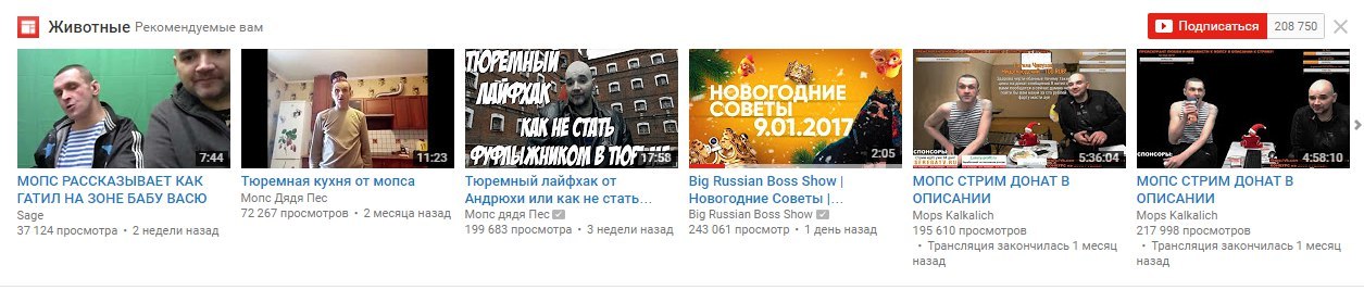 В мире животных - Моё, Животные, YouTube, Мопс, Big Russian Boss