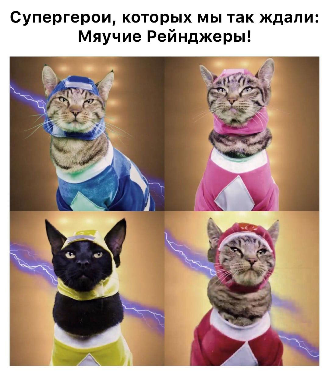 Мяучие рейнджеры - Юмор, Power Rangers, Кот