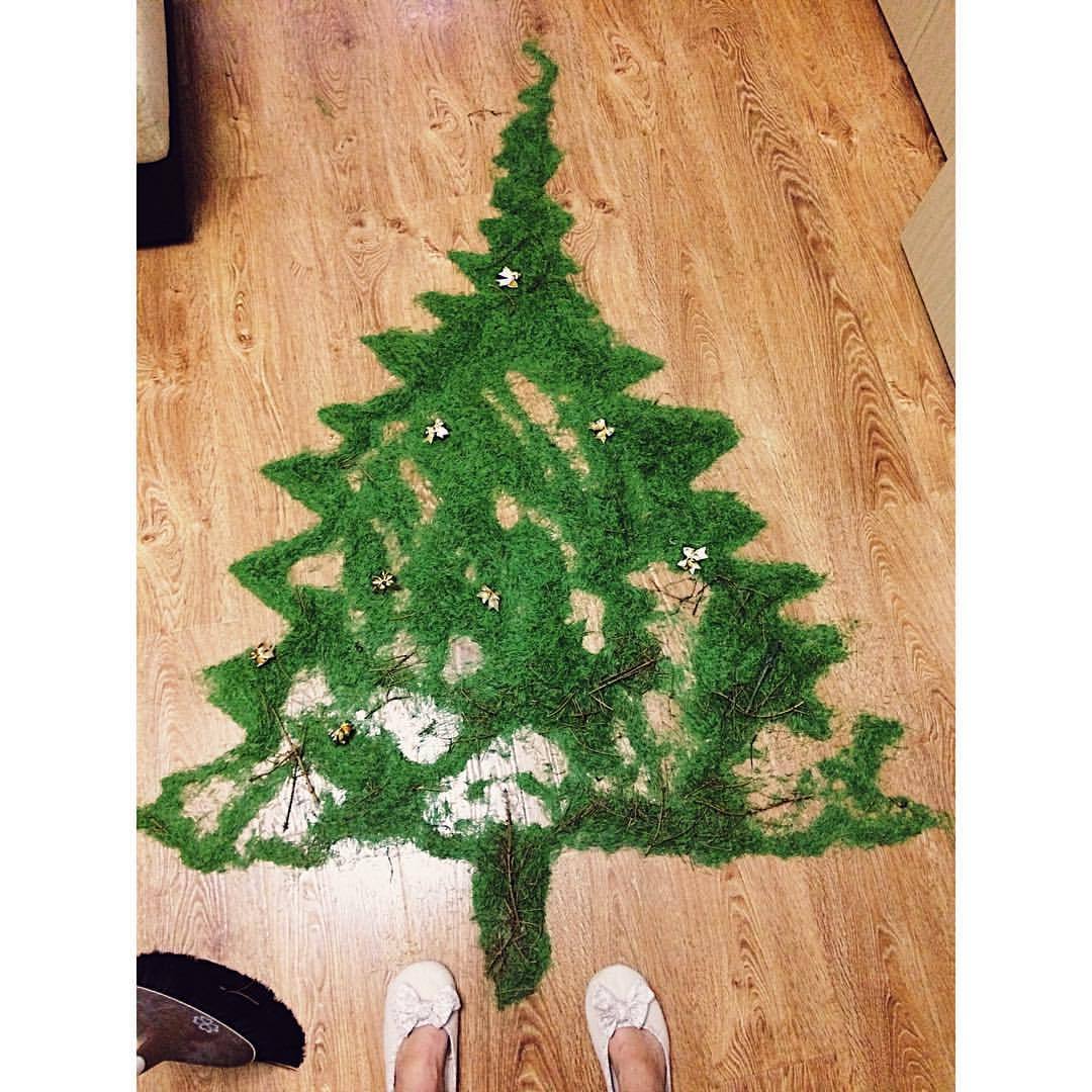 Didn't make it to spring. - My, Christmas tree, , Christmas trees