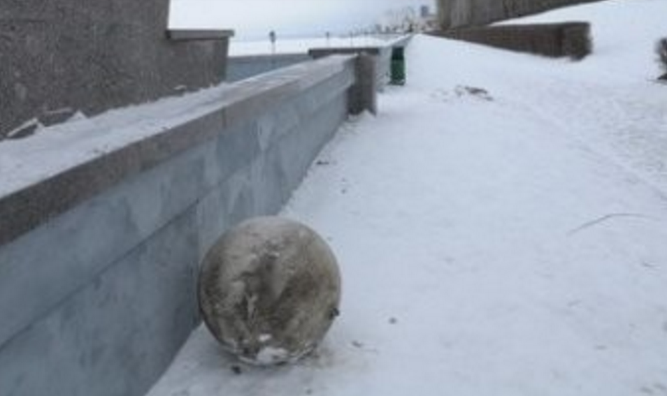 Бетонный шар весит. Бетонный шарик. Катание бетонных шаров. Железобетонный январь.