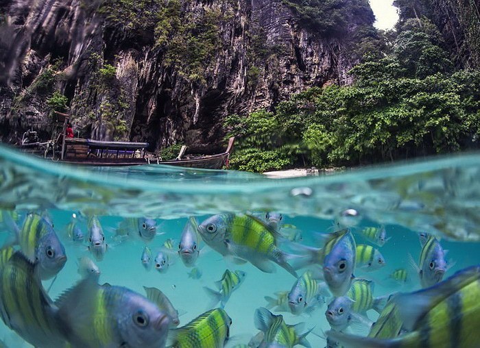 On the edge of two worlds - Peace, Under the water, A fish, Longpost