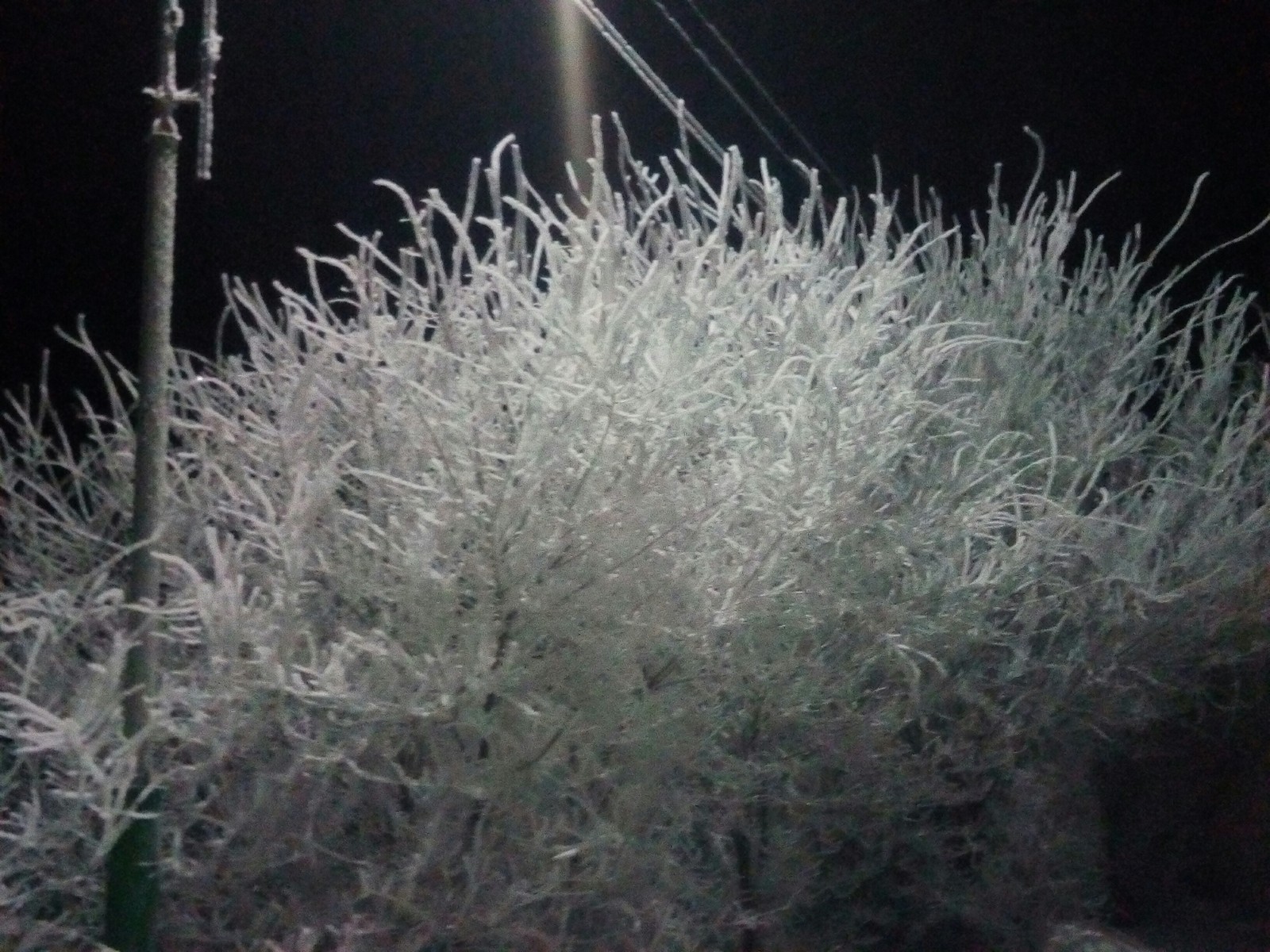 beauty - My, Snow, Village, Morning, beauty of nature