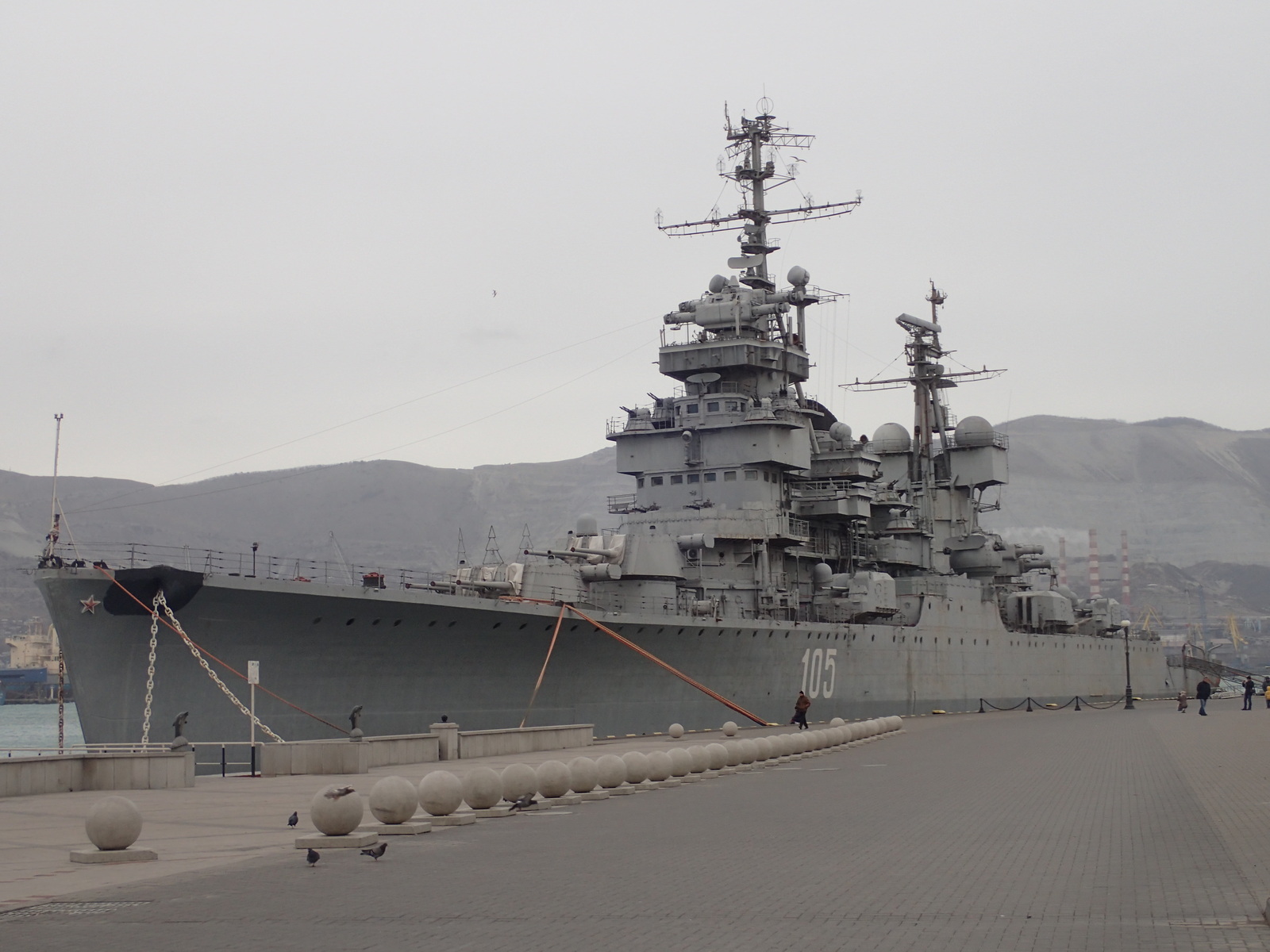 A bit of January Novorossiysk - My, Novorossiysk, January, Sea, Birds, Ship, Russia, Longpost