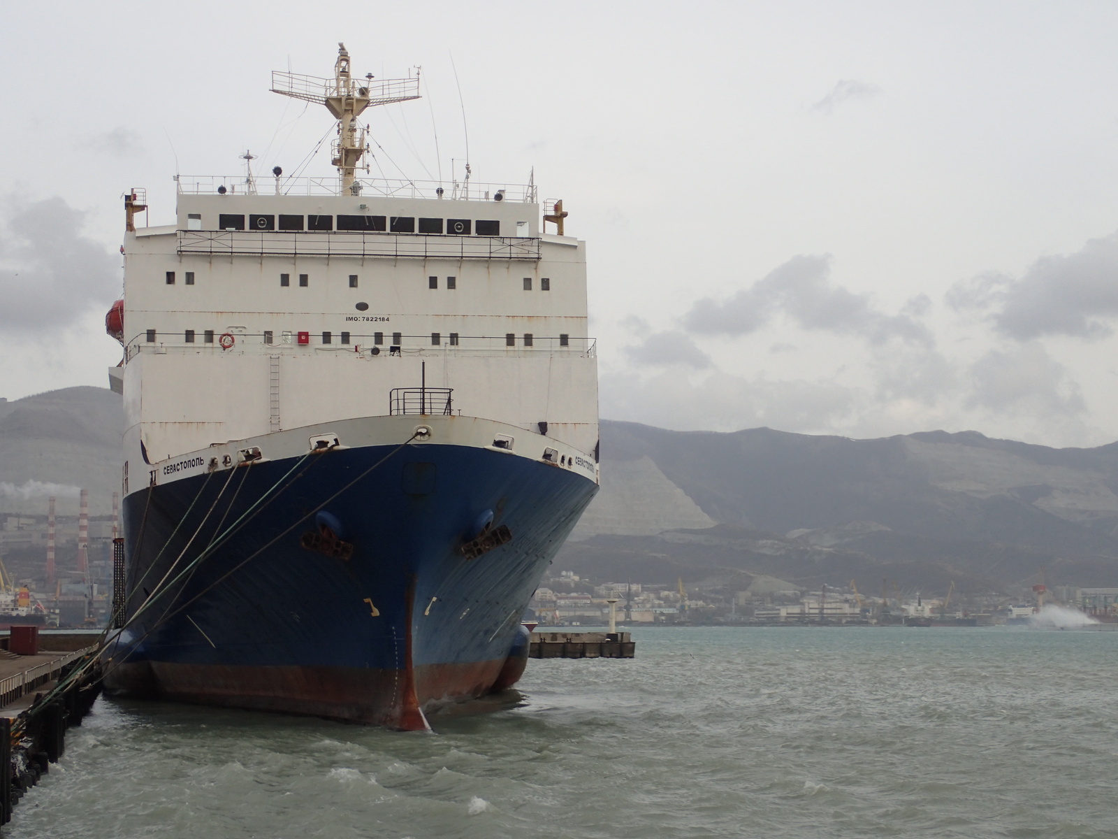 A bit of January Novorossiysk - My, Novorossiysk, January, Sea, Birds, Ship, Russia, Longpost