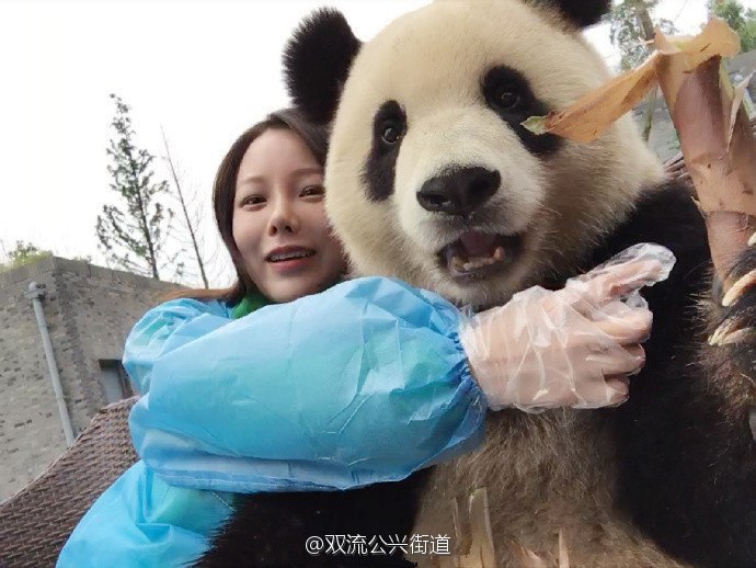 Selfie with panda - Selfie, Panda, Photo, Images, Interesting, Animals, Longpost