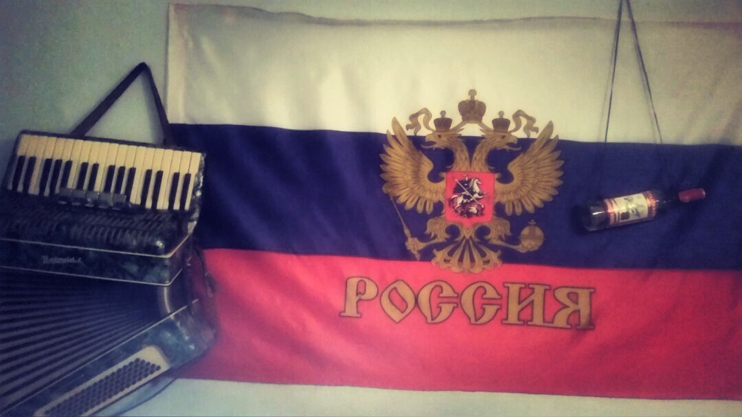 Sawed down at home patriotic concept - My, Russia, Patriots, Vodka, Flag, Accordion