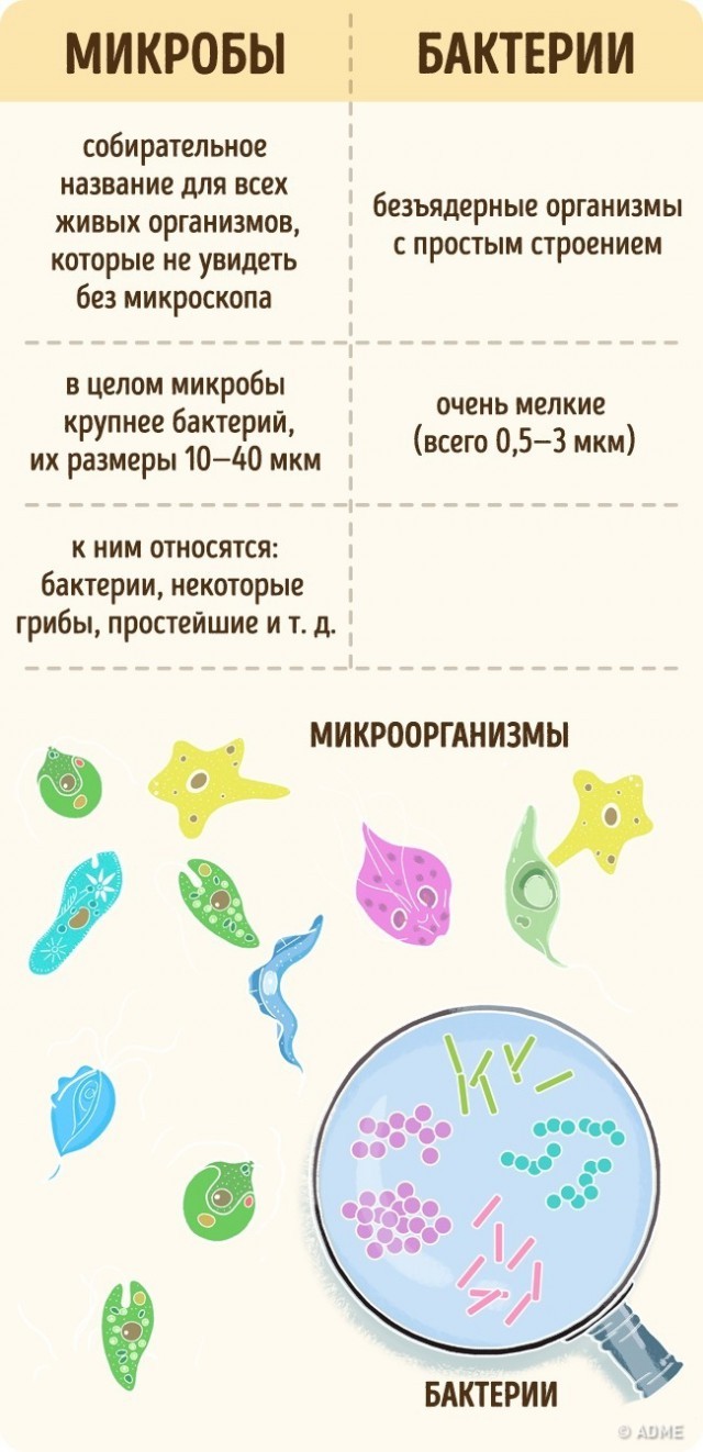 The simplest things that we confuse since school! - Not mine, Necessary, Knowledge, Confusion, Confusion, Concept, Longpost, ADME