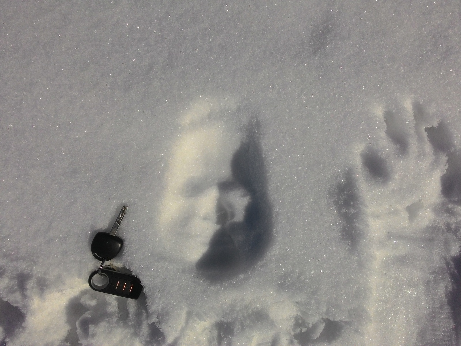 It seems that I summoned the spirit of Weed TV Company, deciding to make a cast of my face in the snow... - My, TV company view, Horror, , Tags are clearly not mine