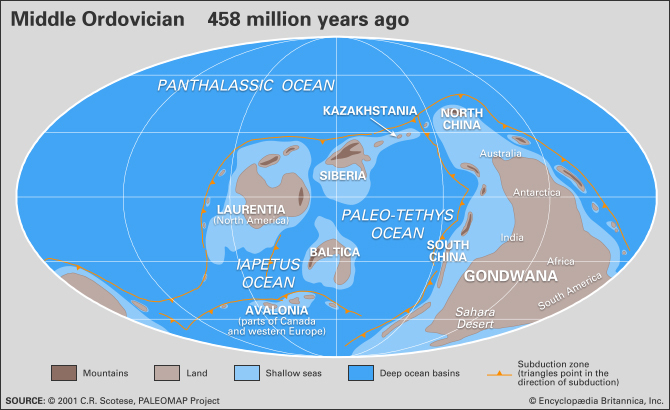 Great Ordovician Radiation - My, Ordovician, Interesting, Paleontology, , Longpost