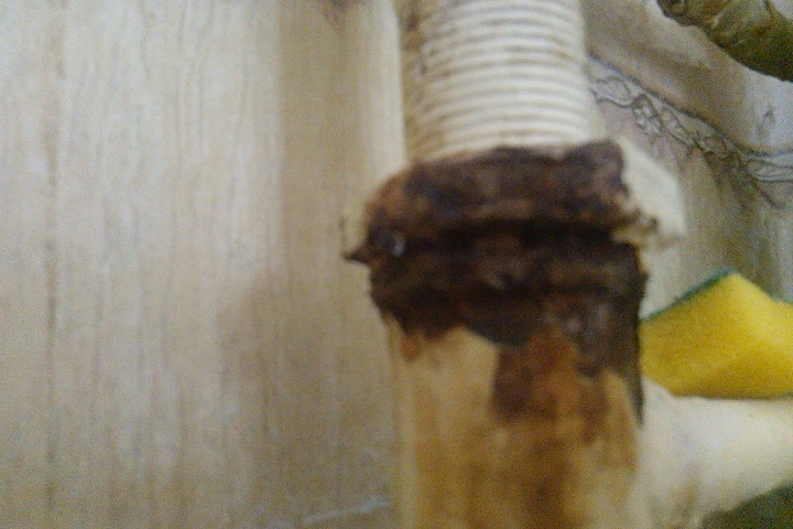 Customer service. Pipe replacement. Expectation vs reality. - My, Woe Masters, I share, After some time, , Longpost, It Was-It Was