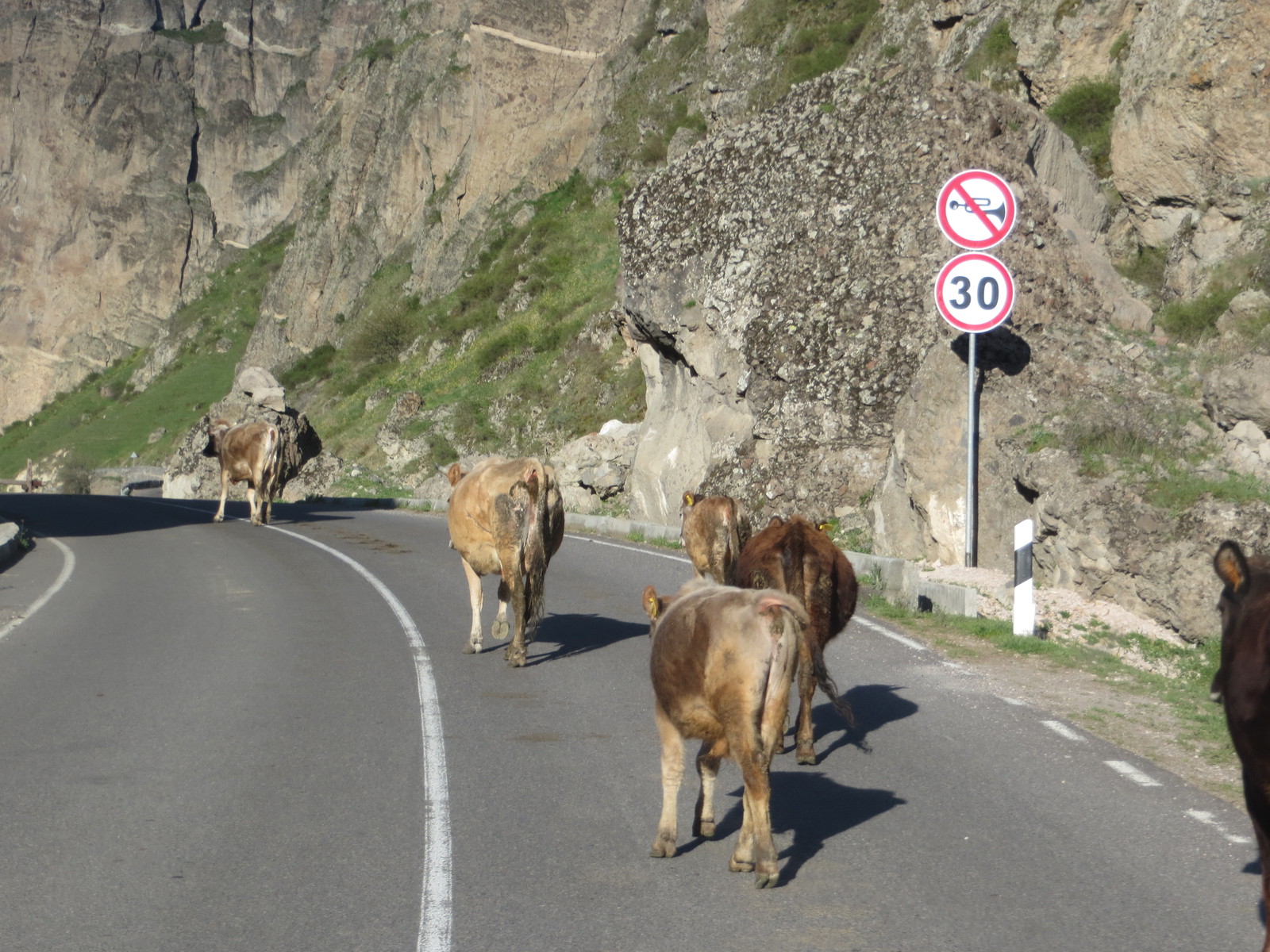 About how we went to Georgia. - My, Travels, Georgia, Vardzia, Caves, Fortress, Video, Longpost