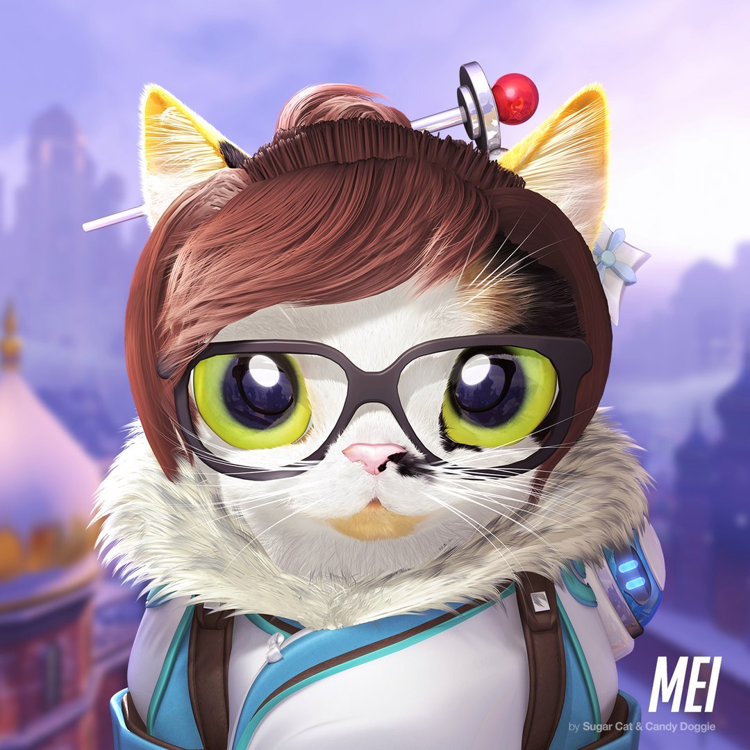 Catwatch - Overwatch, Кот, Blizzard, Длиннопост