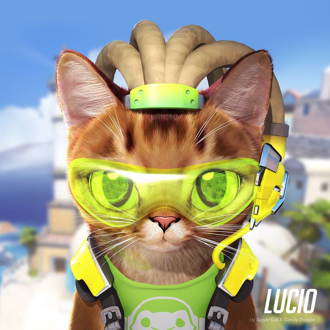 Catwatch - Overwatch, cat, Blizzard, Longpost