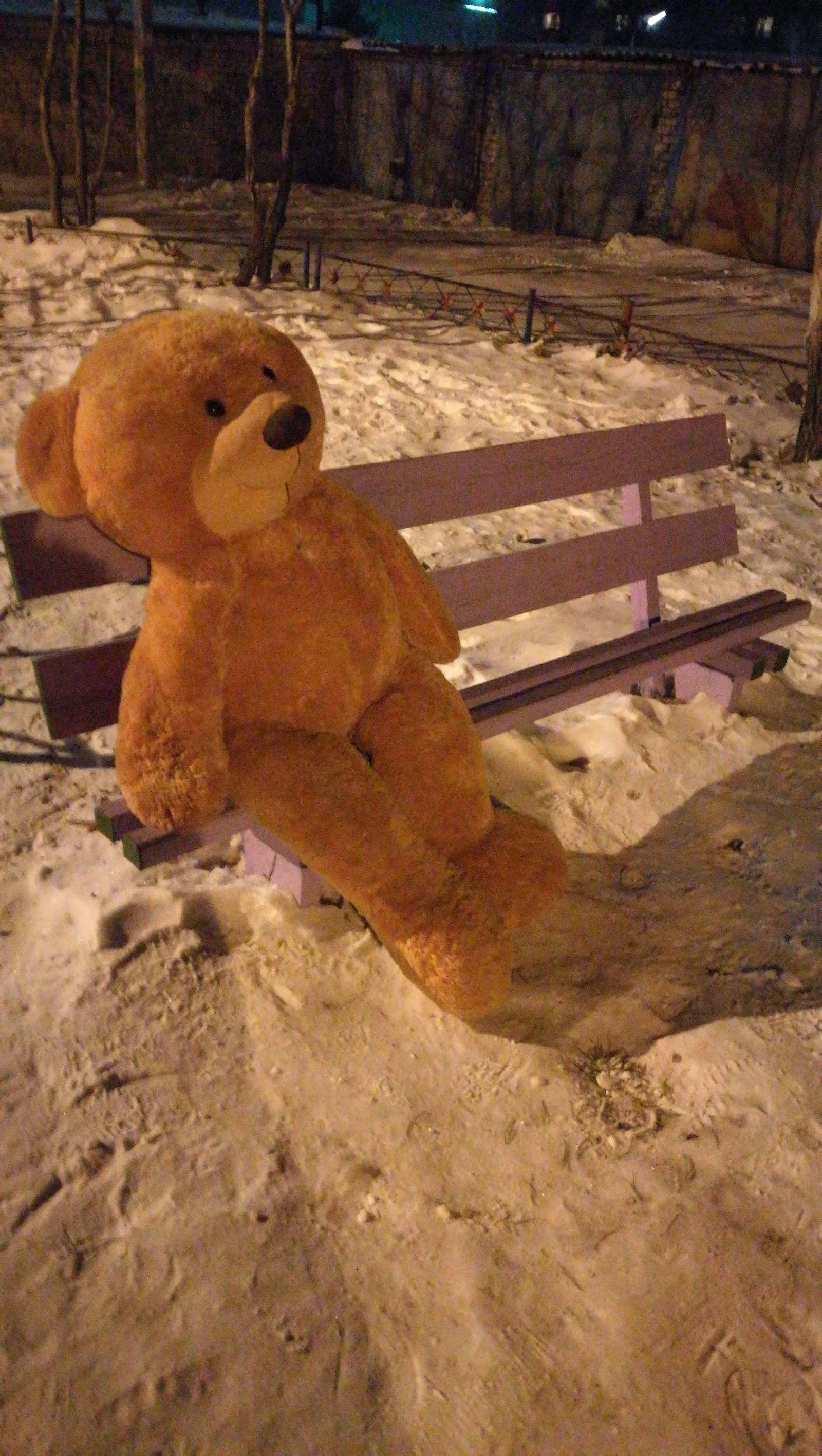 I mean, I’m coming home from work, and I see someone sitting, someone sitting ... some kind of body, he came closer - the bear is ventilated) cognizes the essence of being ... - The Bears, Loneliness, Longpost