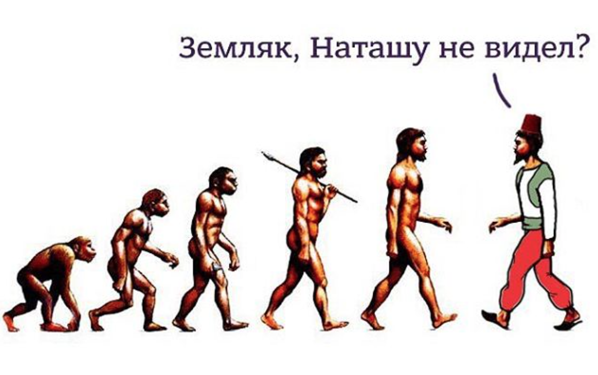 Власти Турции убрали теорию эволюции Дарвина из школьной программы | Пикабу