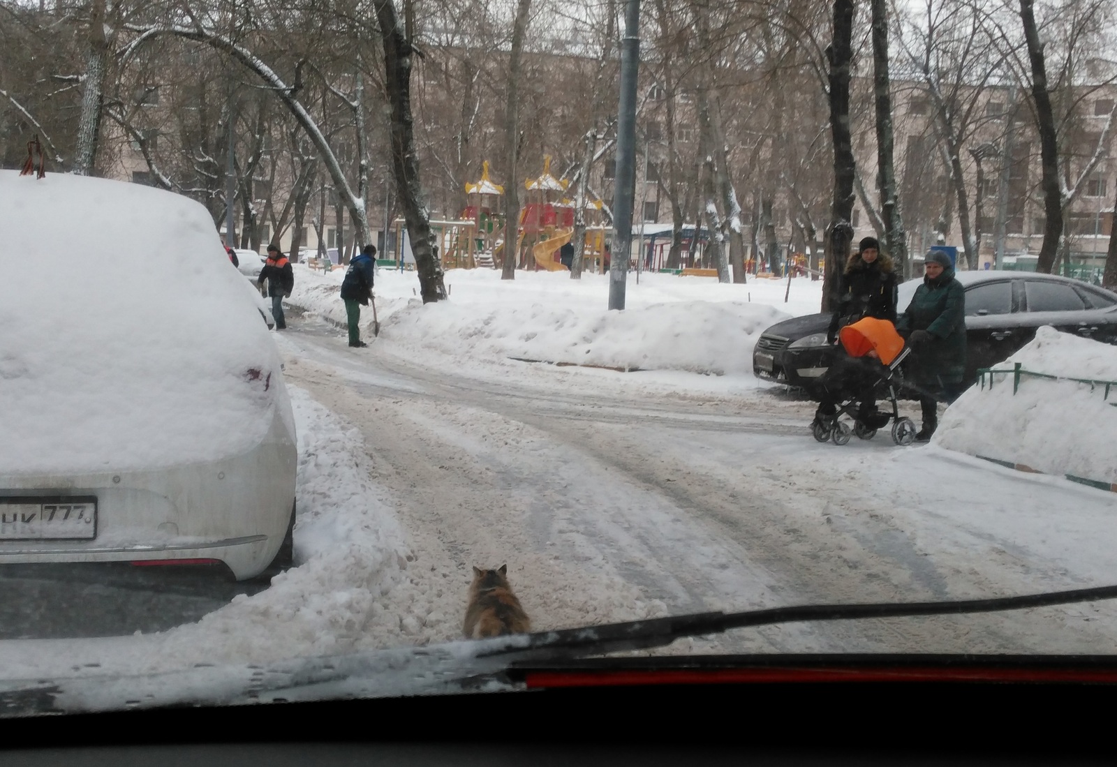 Том ... 20 лет спустя. - Моё, Кот, Том и Джерри, Здоровый кот, Юмор, Интересное