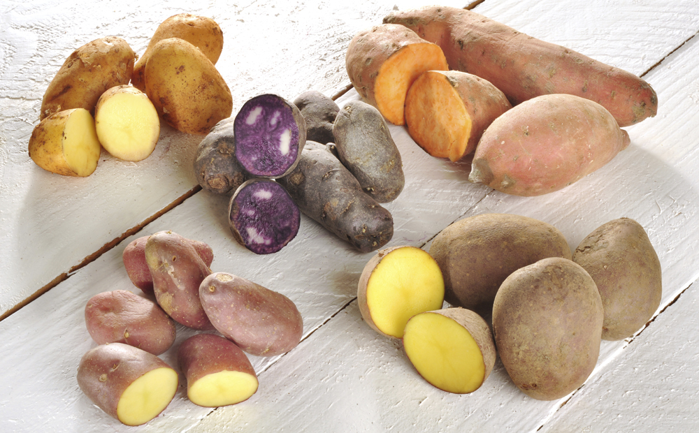 History of the potato. - Potato, Products, Food, Story, Interesting, Text, Longpost