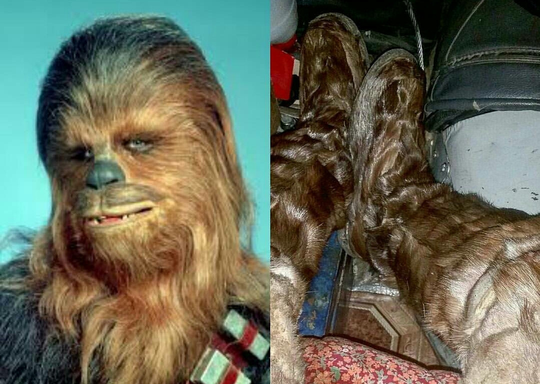 Chewbacca is that you? - My, Chewbacca, Star Wars IV: A New Hope