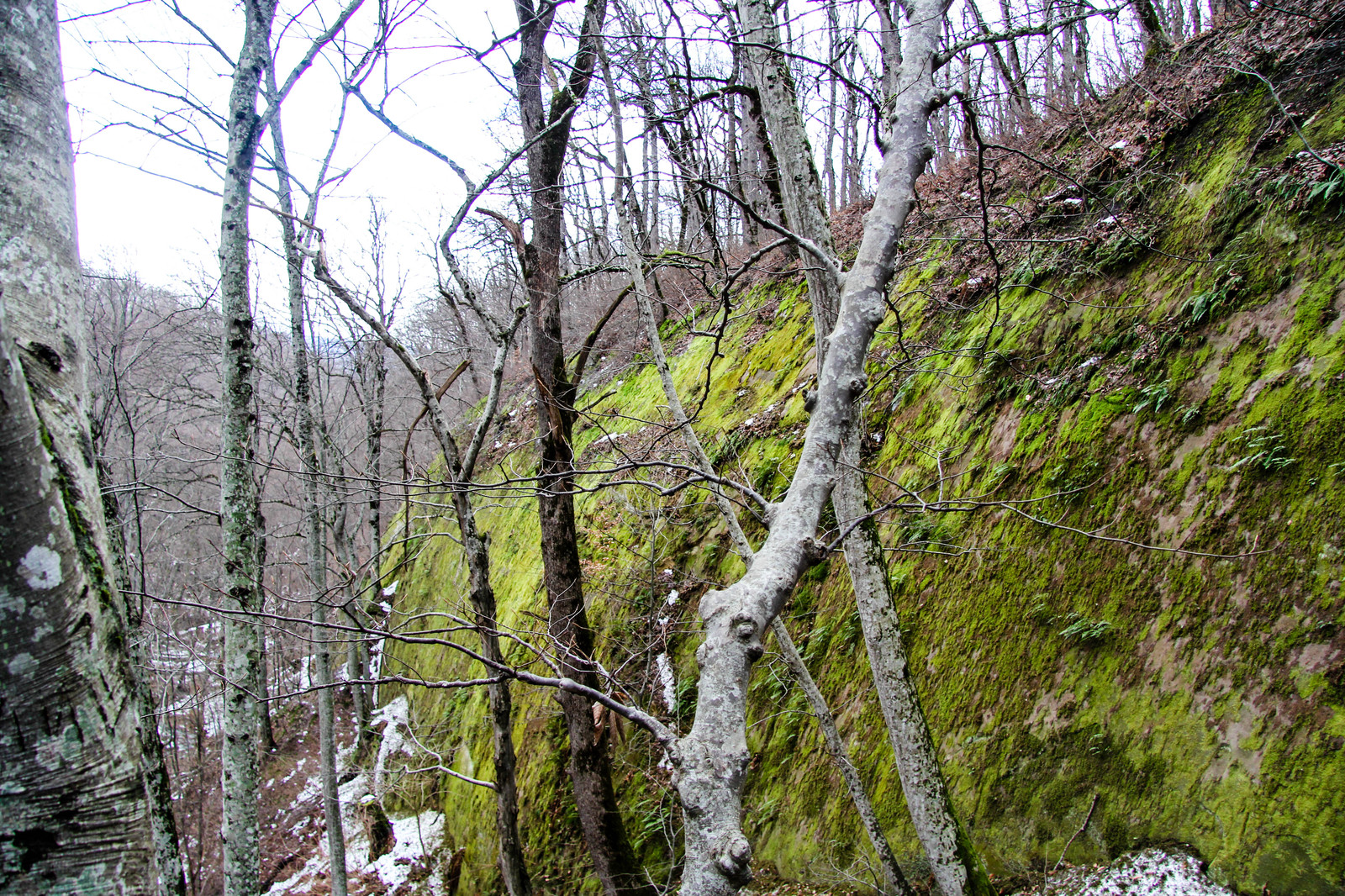 New Year's adventures of a good-for-nothing hiker: Gorge Hospital slot in Goryachiy Klyuch. - My, Hot Key, Gorge, , Краснодарский Край, Russia, Travels, Tourism, New Years holidays, Longpost