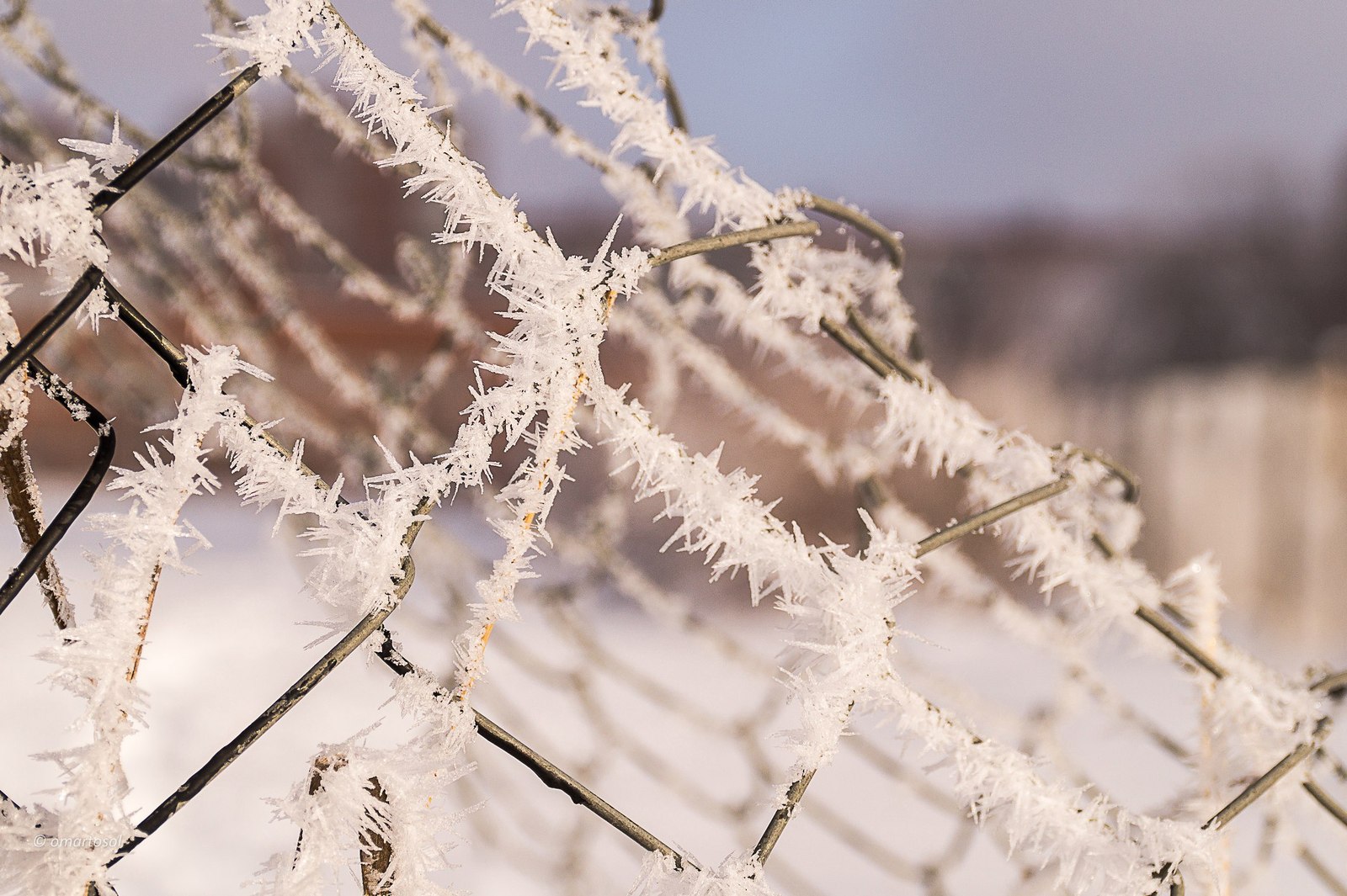 Beautiful Vitebsk frost - Republic of Belarus, Vitebsk, Photo, freezing, Frost, Longpost