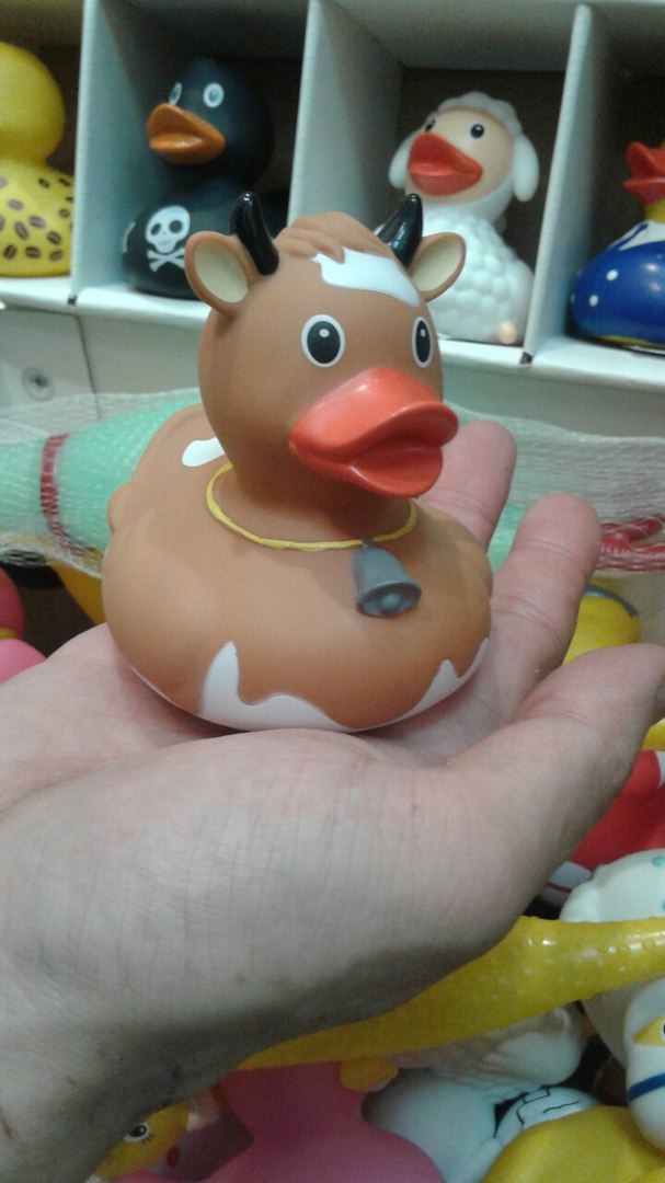 Duck for van...Wait...WUT?? - My, Duck, Cow, Sheeps, Toys, Hybrid, What are you, , Longpost