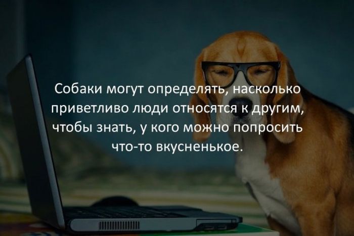 Интересные факты в картинках - Интересное, Факты, Картинки, Длиннопост