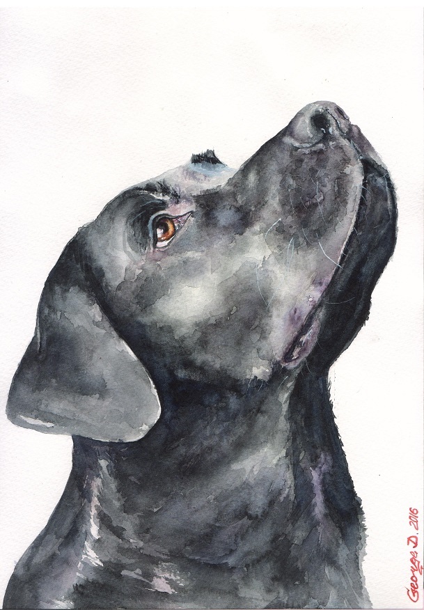 Hi all! My name is George. I wanted to introduce you to my works in watercolor) I hope they will cheer you up today :) - My, Oil painting, Watercolor, Animals, Milota, Dog, The Bears, a lion, Longpost