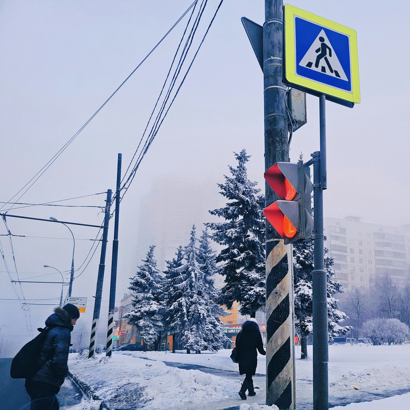 Freezing day - My, freezing, Russia, Nature