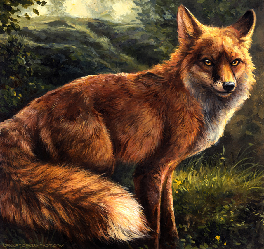 Art by kenket. Foxes. [deviant art] - Deviantart, Art, Fox, Animals, Longpost, A selection, Kenket