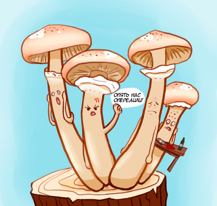 Frustration again (s) - My, Sketch, Honey mushrooms