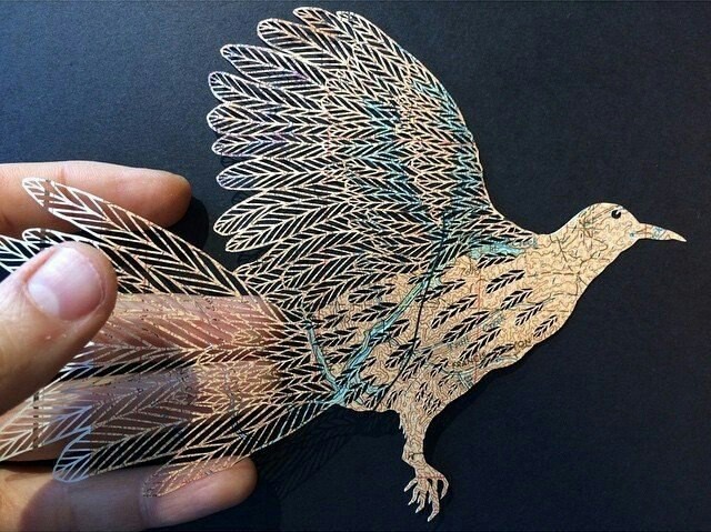 Incredible paper birds - Photo, Creative, Art, Paper