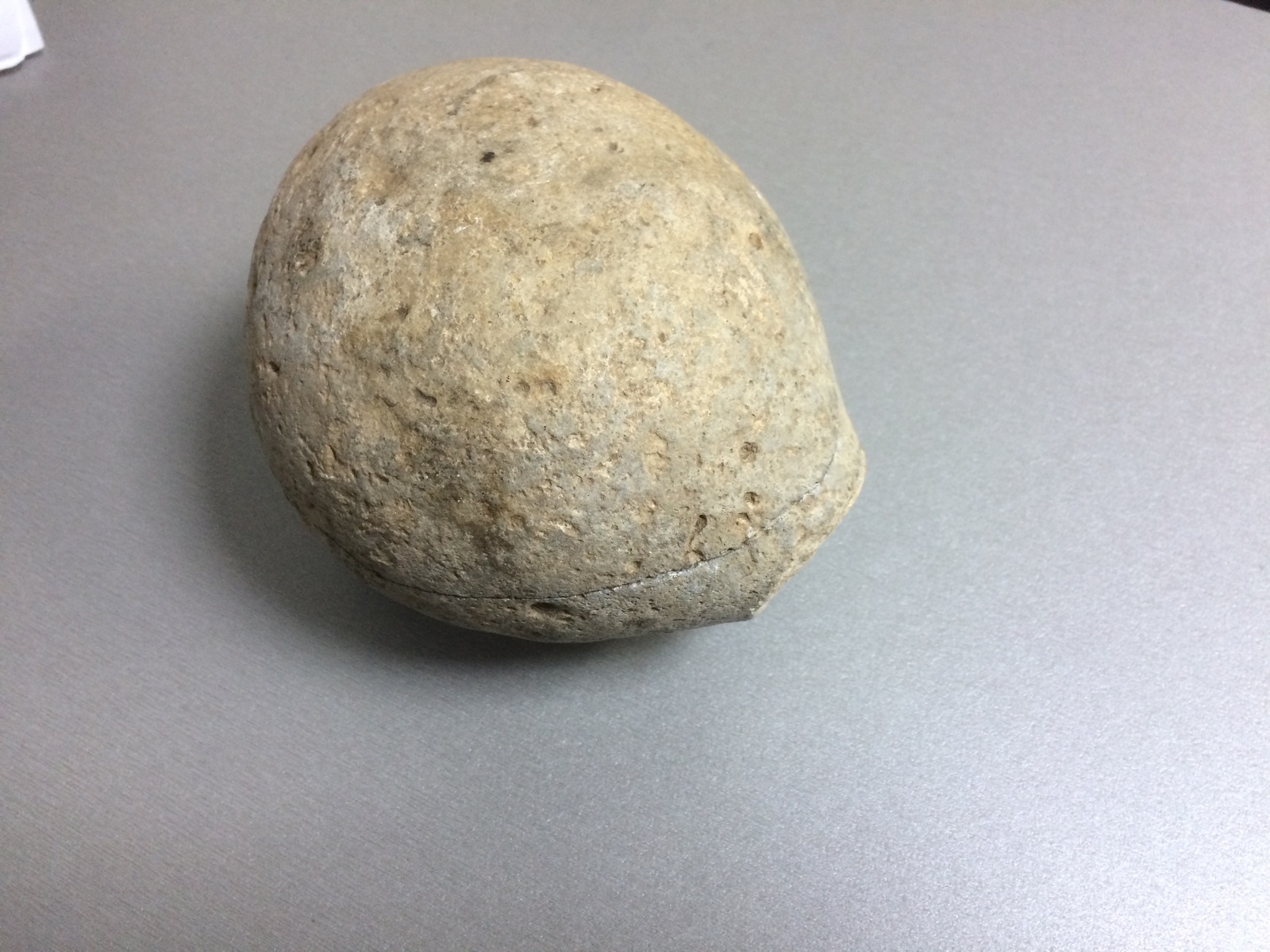 I found a beautiful fossil in the office, what is it? - My, Fossils, Archaeologists, Fossil, Longpost