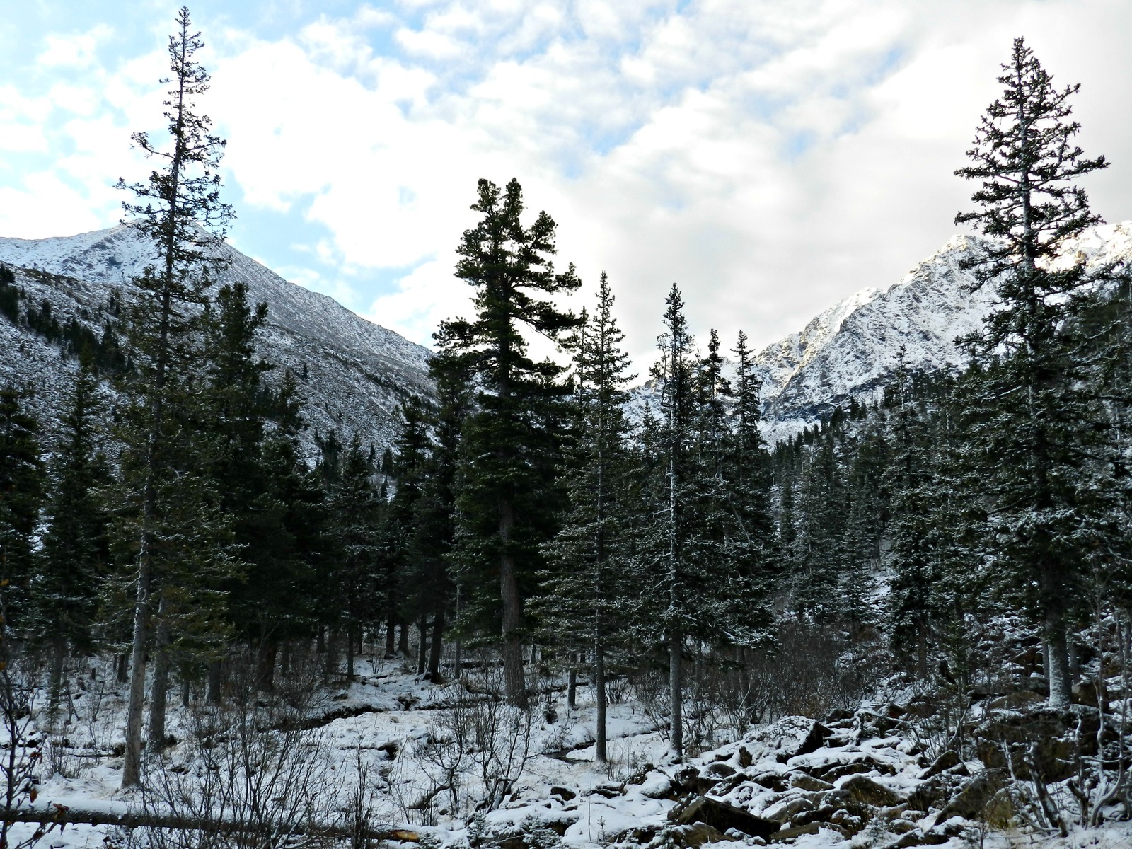 Autumn hike to Mount Borus, near the SSH HPP - My, The mountains, The rocks, Snow, Borus, Tourism, Hike, Longpost