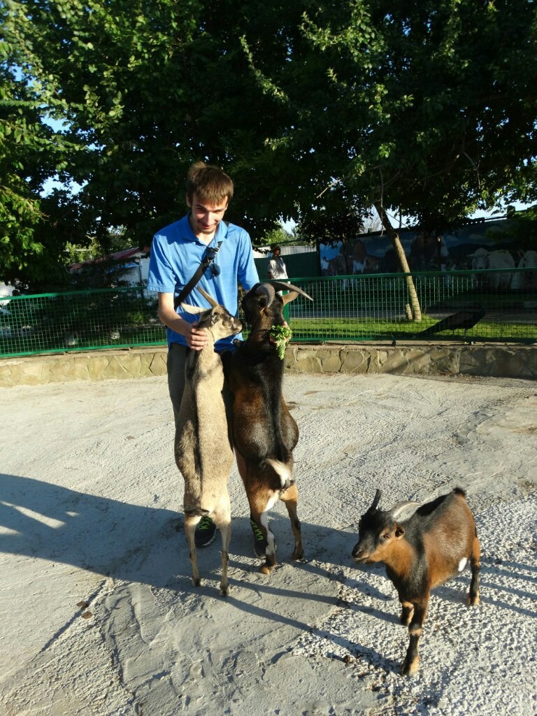 How to feel like children. Taigan Park - Taigan Lions Park, Summer, Crimea, Impressions, Safari, Animals, Longpost