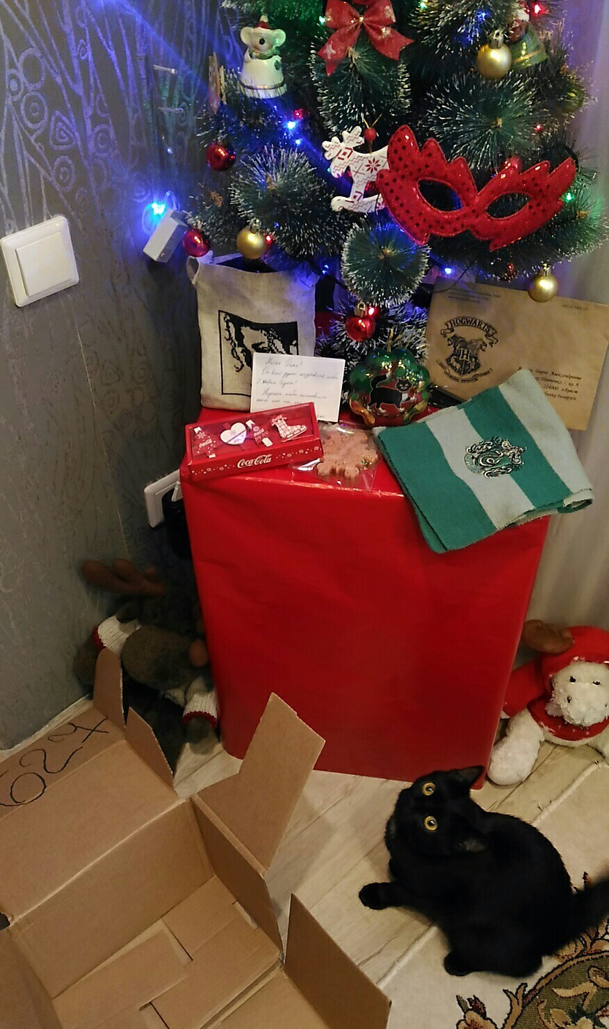 Journey from St. Petersburg to Brest - My, Gift exchange, Brest, Saint Petersburg, Package, Longpost