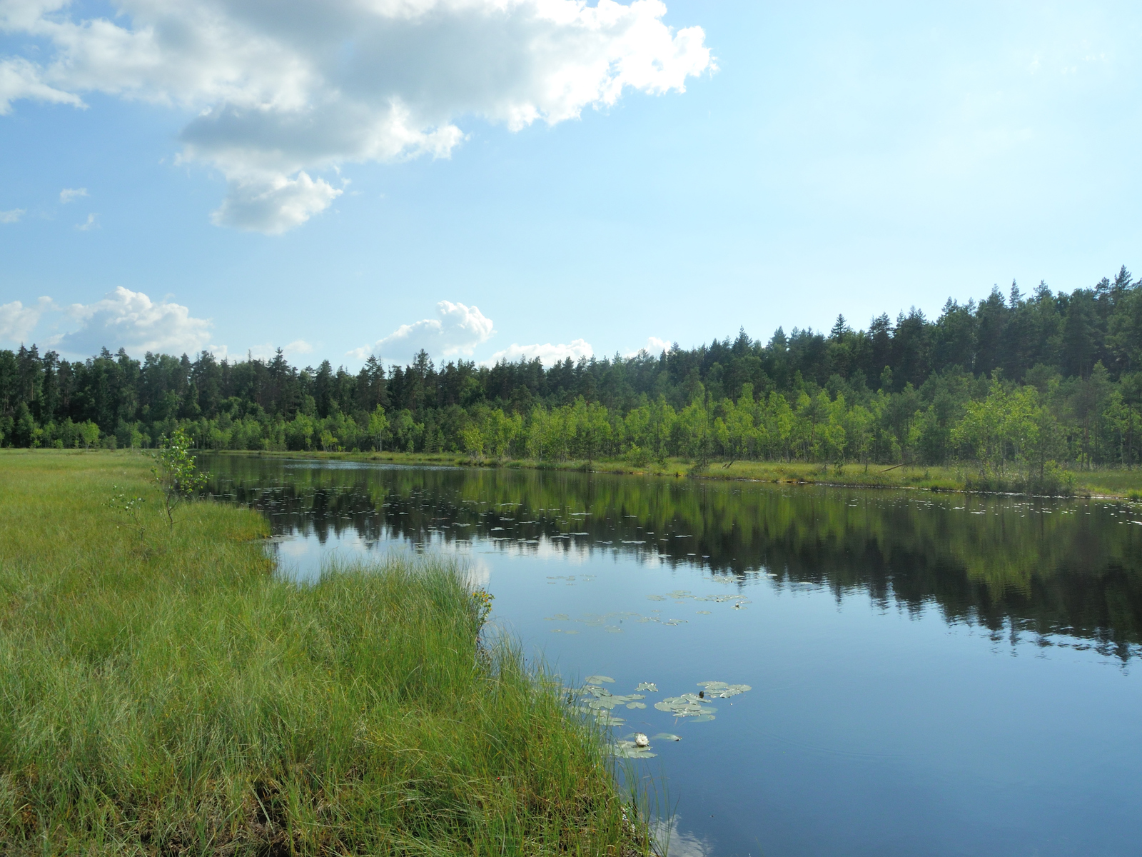 Only in the photographs you understand that Russian nature is so beautiful!.. - Nature, Russia, Longpost