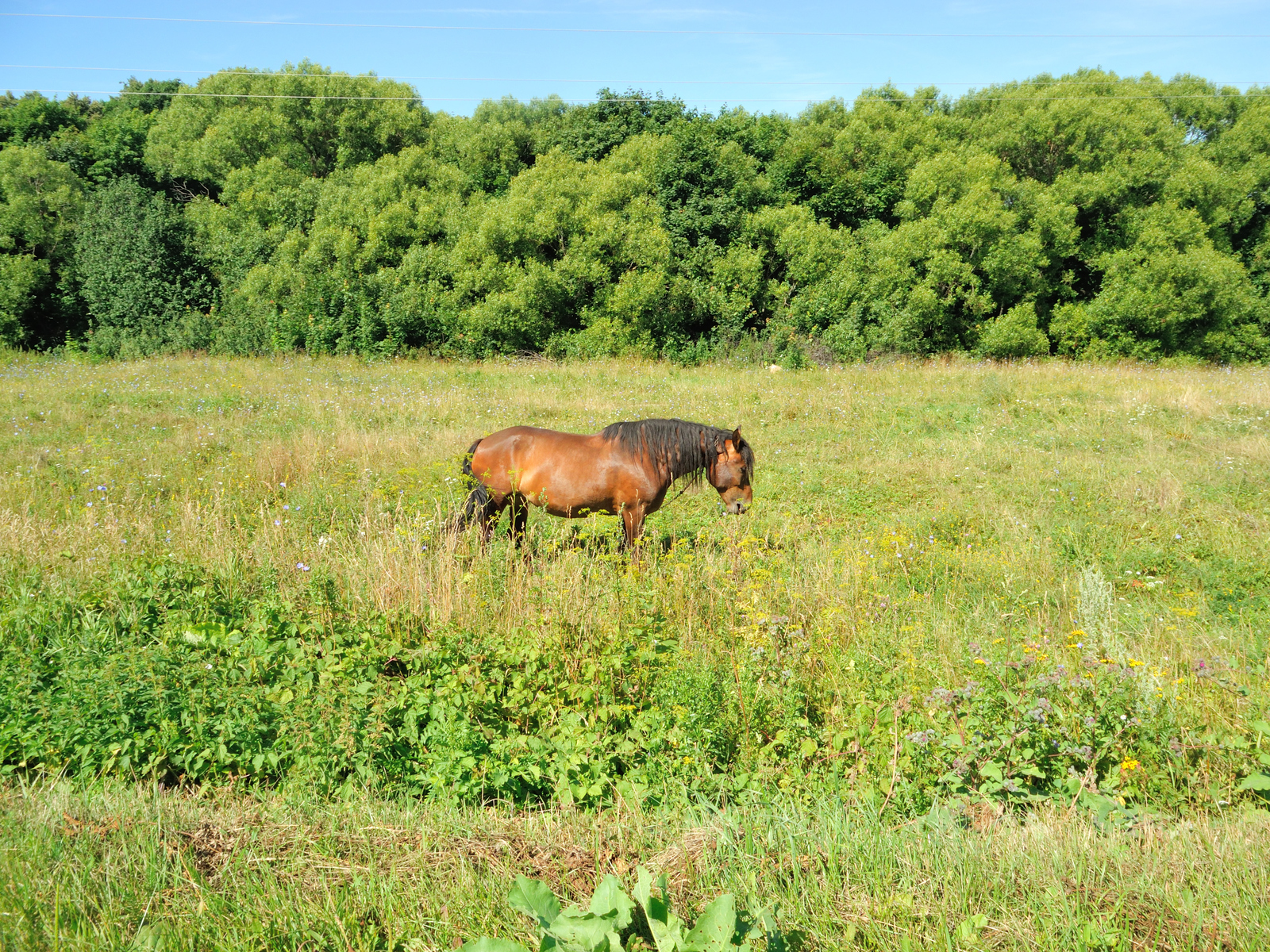 Only in the photographs you understand that Russian nature is so beautiful!.. - Nature, Russia, Longpost